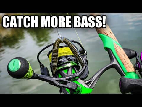 Wacky Rig Caught Fish ALL DAY LONG (Bass Fishing for Beginners)