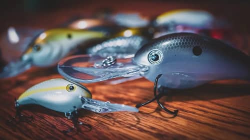 8 Deep Diving Crankbaits You Need To Try - Buyer's Guide