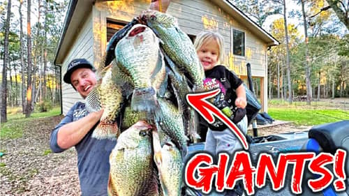 GIANT Winter Crappie are TOO EASY!! (LIVE Livescope Footage)