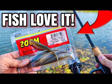 The BEST Bank Fishing Plastic? (I Need to Use it MORE!)