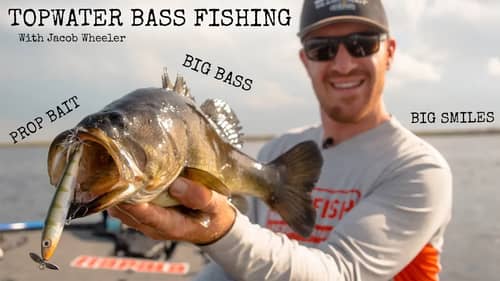 The BEST topwater fishing lure that you DONT throw