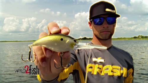 7 Must-Know Deep Diving Crankbait Tips for Big Bass