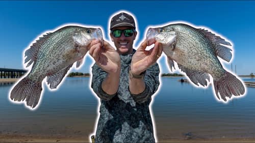 Fishing Bridges for Fall Crappie | Catch & Cook
