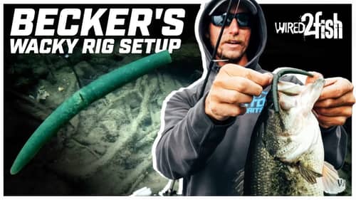 Wacky Rig Mastery with Matt Becker: Senko Tips Revealed!