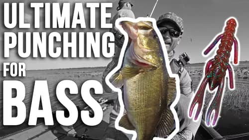 ULTIMATE Punching for Bass in Heavy Grass ~ Fishing Lake Kissimeee