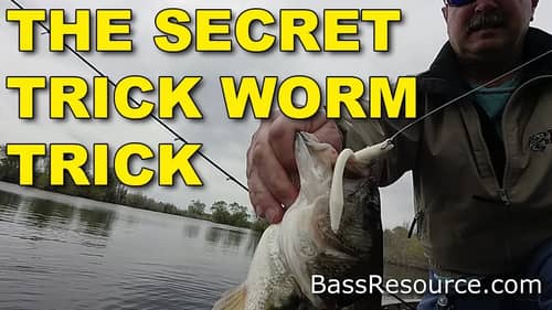 Trick Worm Tips for Bass Fishing Never Revealed - Until Now!