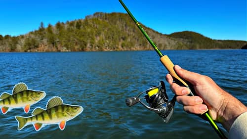 How Fishing Technology Impacts Angling with Matt Herren 