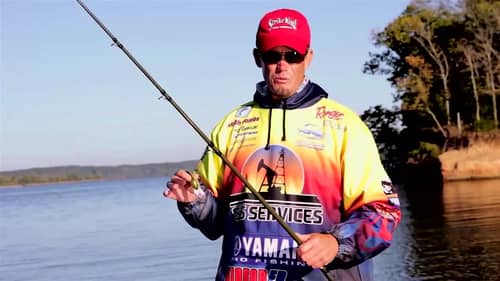 Why You Should Crank Fast for Big Bass