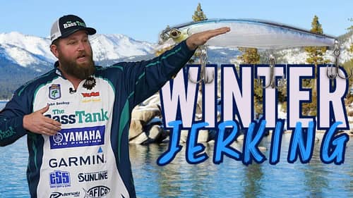Winter Jerkbait Bass Fishing Secrets & Tips [Bassmaster Pro's Cold Water Technique]