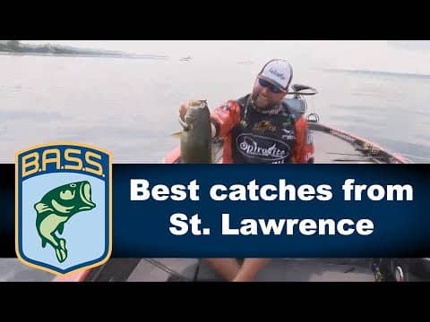 St. Lawrence River best catches of Bass Live