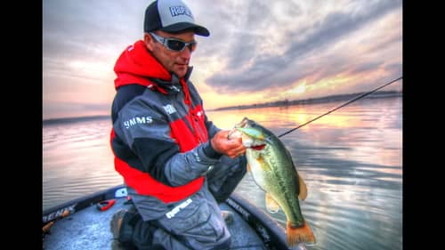 Fishing for Bass with the New Rapala Shadow Rap Shad