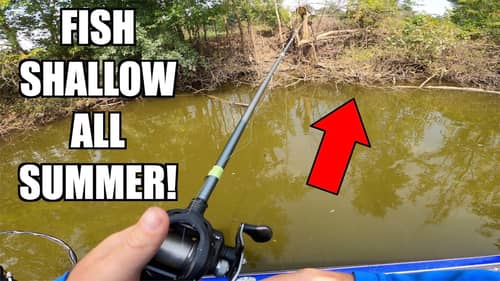 How to Fish Shallow for Late Summer Bass! (Bass Fishing Tips)