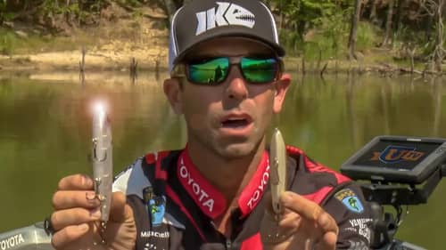 Best Bass Fishing Topwater Lures & Baits