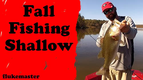 How to Fish for Bass in the Fall