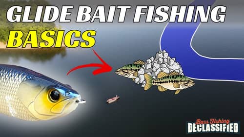 Catch Your PERSONAL BEST - Glide Bait Tips and Tricks For Spring Fishing