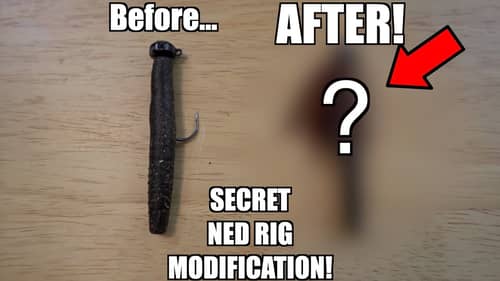 My SECRET Ned Rig Modification to Catch BIGGER Bass!