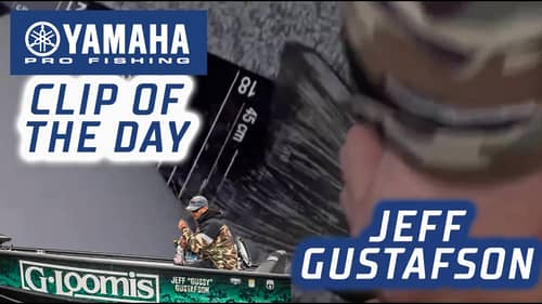 Yamaha Clip of the Day - Gussy lands a limit (5 fish from the win)