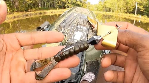 buzzbait fishing a EXTREMELY SHALLOW backwater (no bass boats allowed)