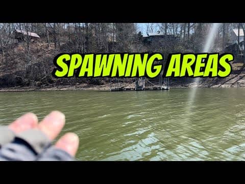 On The Water Tour Of A Perfect Spawning Area For Bass..