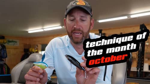 Technique Of The Month | October | Creek Channels