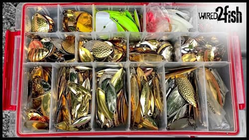 Build the Perfect Spinnerbait Accessory Box from Old Lures