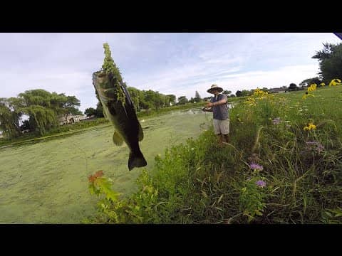 Frog Fishing In The Grass.. Ft. HECZWE & LunkersTV