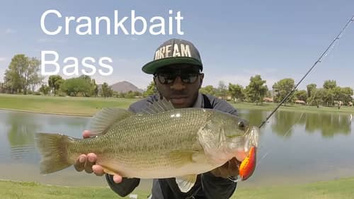 Fishing Frontal Conditions with Crankbaits