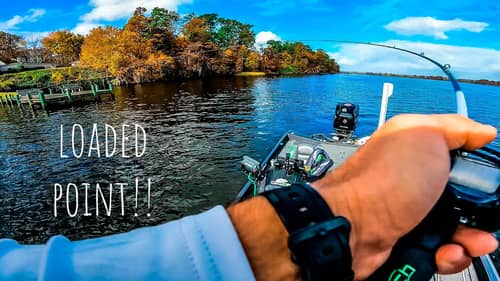 WIND BLOWN Point Was LOADED With AGGRESSIVE FISH!! || Fall Bass Fishing