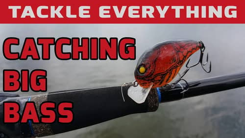 Catching Big Bass - This Lure is Gettin' it done