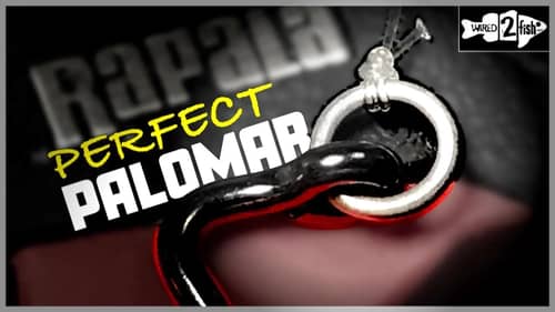 2 Tips to Avoid Palomar Knot Failure with Fluorocarbon