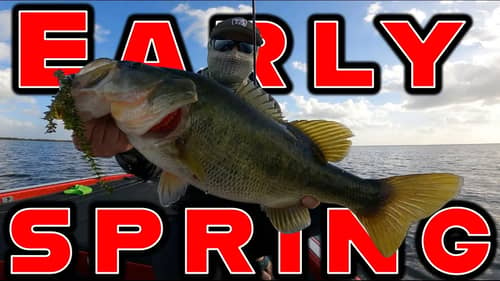 Where Do Bass Go In Early Spring? ( Tips For Beginner And Advanced Anglers )