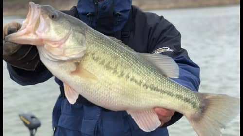 The ROCK Day 2 - Cold Front Conditions For Spring Bass