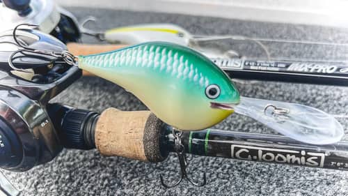 Summer To Fall: These Crankbaits Keep Catching Fish!