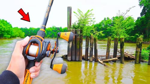 Searching for GIANT Bass in Backwater Creeks (River Fishing)