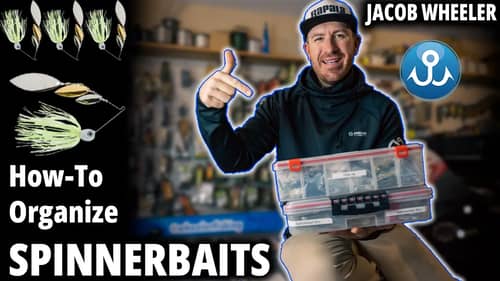 The BEST Way to Organize Spinnerbaits! (Money Saving Trick)