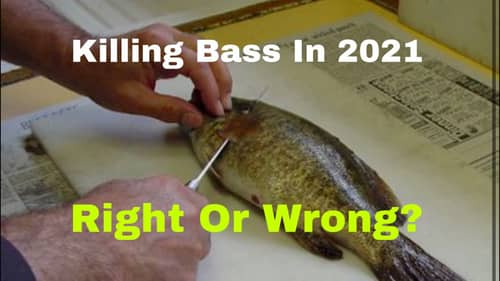 Understanding The Mentality Of Bass Eaters
