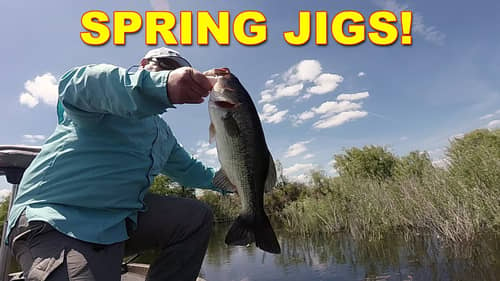 Spring Jig Fishing: What You Need To Know | How To | Bass Fishing