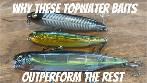 The 3 Best Walking Topwater Lures And Secrets To Using Them…