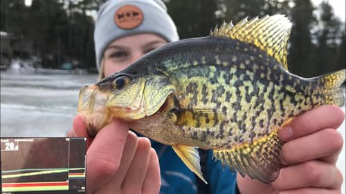 We FINALLY Found the Crappie - Early Ice!