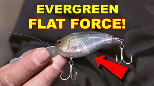 Evergreen Flat Force Crankbaits with Justin Kerr | How To | Bass Fishing