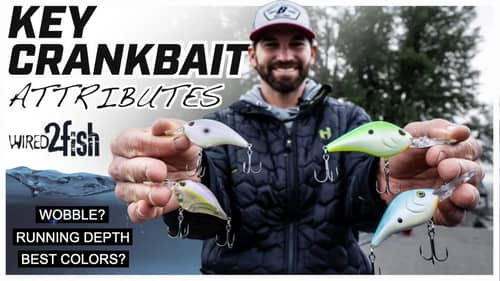 Master Crankbait Fishing with Keith Carson: From Shallow to Deep