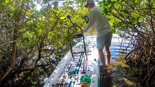 We Put The New Micro Skiff Into A Tiny Mangrove Forest