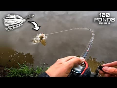 My Pond FLOODED And The Fish Still Ate THIS? (100 Ponds Ep. 40)