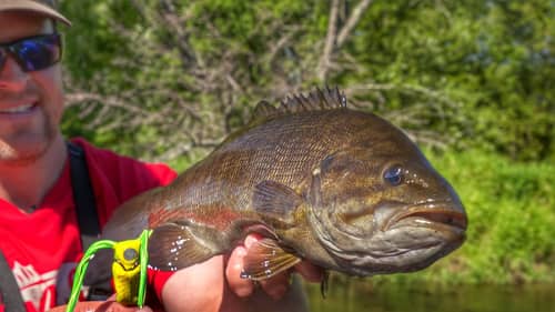 INSANE River Bass Fishing Using Hollow Body Frogs!