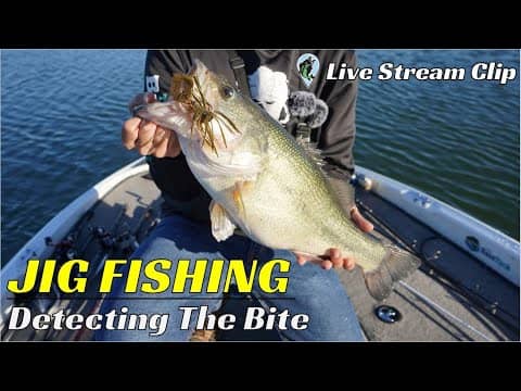 #1 Reason You Don't Catch Bass on Jigs For Bass | FTM Livestream #71