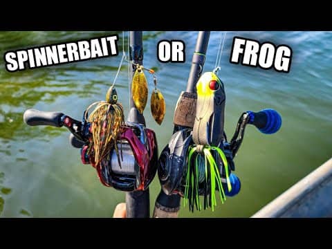Bass Fishing with Spinnerbaits & Frogs | BOTH Lures were Important!
