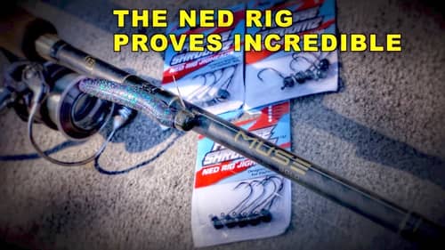 How to Fish Ned Rigs for Bass
