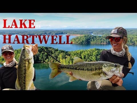 Fishing HARTWELL during HERRING spawn (part 2)