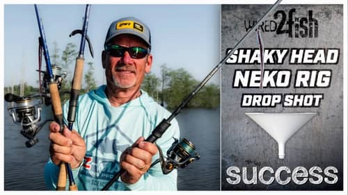 Master Finesse Fishing: Shaky Head, Neko Rig and Drop Shot