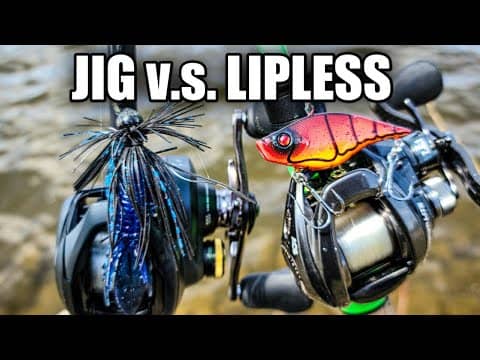 Bank Fishing with a Jig & Lipless Crankbait  (Glad I Brought Both)